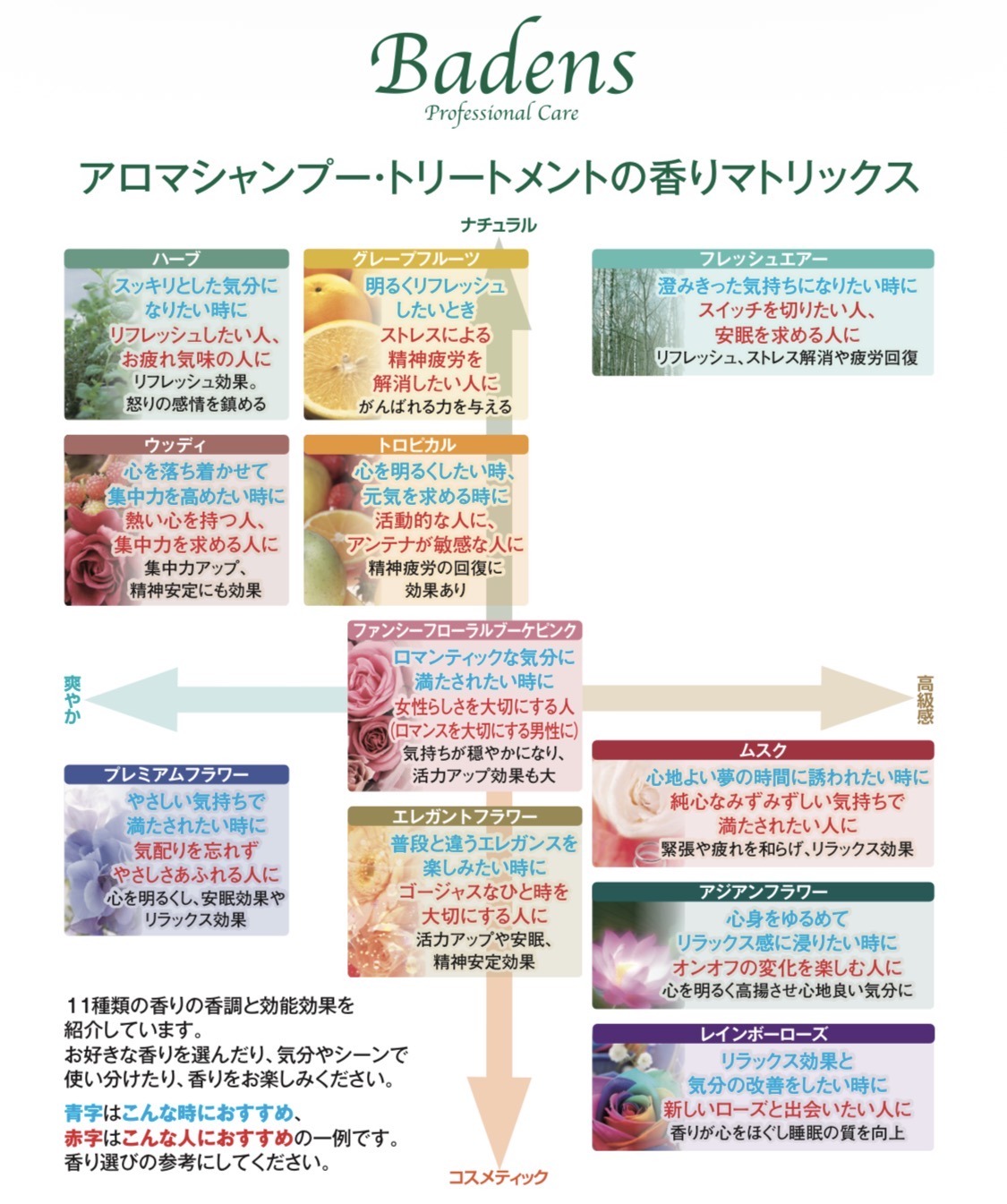 アロマシャンプー11種類の香りマトリックス